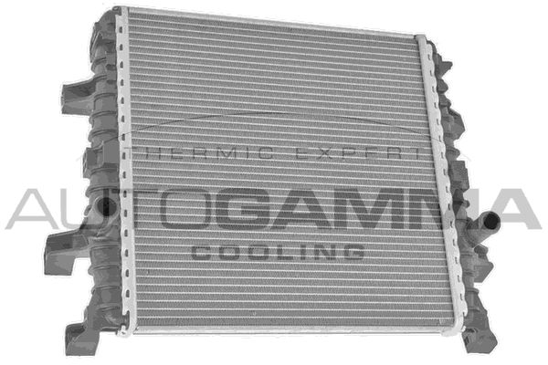 107910 AUTOGAMMA Радиатор, охлаждение двигателя