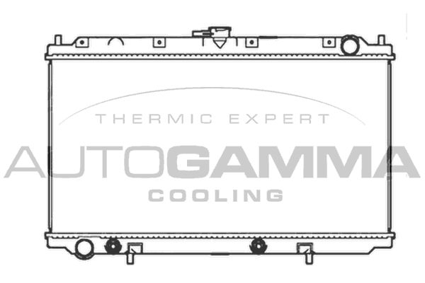 102196 AUTOGAMMA Радиатор, охлаждение двигателя