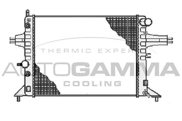 102219 AUTOGAMMA Радиатор, охлаждение двигателя