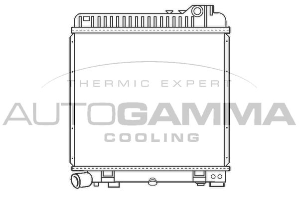 100117 AUTOGAMMA Радиатор, охлаждение двигателя