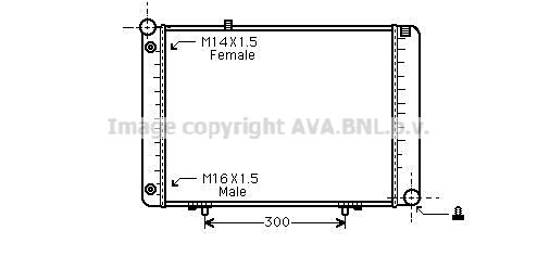 MSA2074 AVA QUALITY COOLING Радиатор, охлаждение двигателя