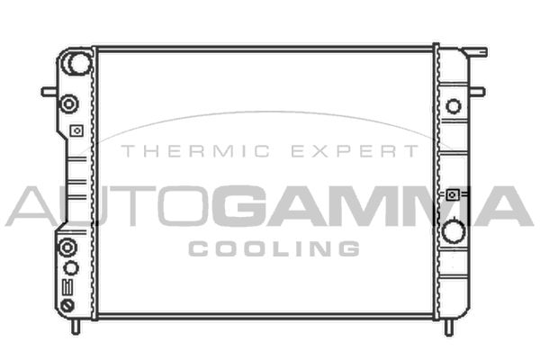 102253 AUTOGAMMA Радиатор, охлаждение двигателя