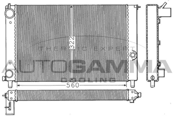 100251 AUTOGAMMA Радиатор, охлаждение двигателя