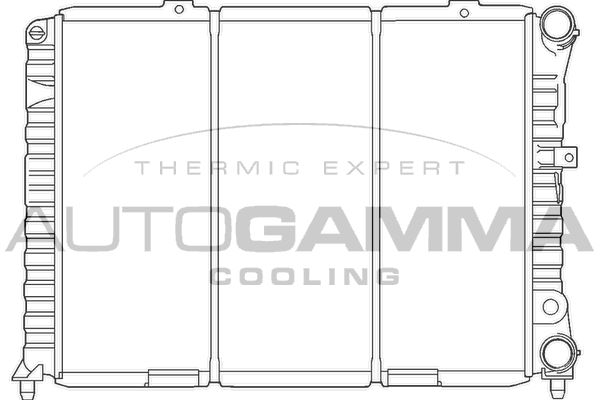 100019 AUTOGAMMA Радиатор, охлаждение двигателя