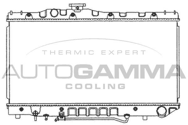 101006 AUTOGAMMA Радиатор, охлаждение двигателя