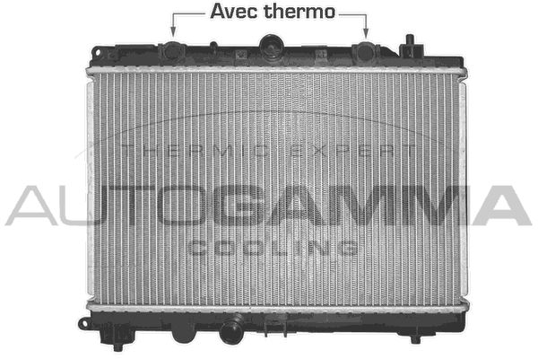 102946 AUTOGAMMA Радиатор, охлаждение двигателя