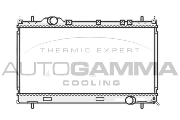 107015 AUTOGAMMA Радиатор, охлаждение двигателя