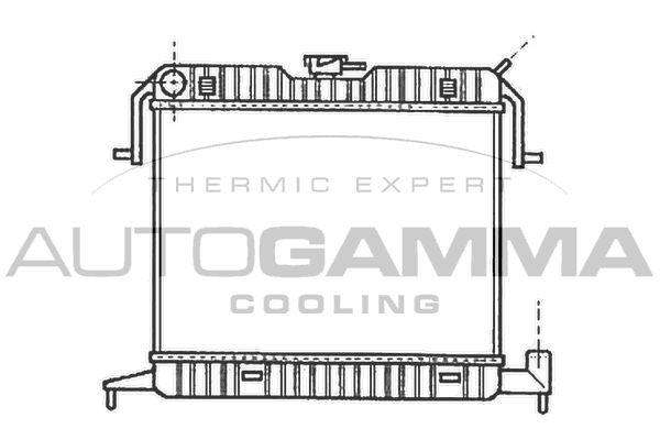 102233 AUTOGAMMA Радиатор, охлаждение двигателя