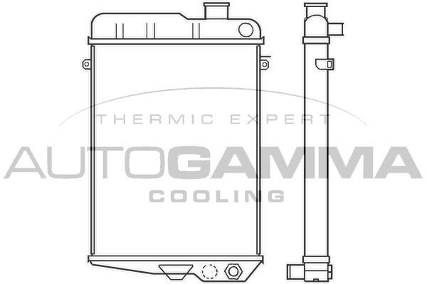 100039 AUTOGAMMA Радиатор, охлаждение двигателя