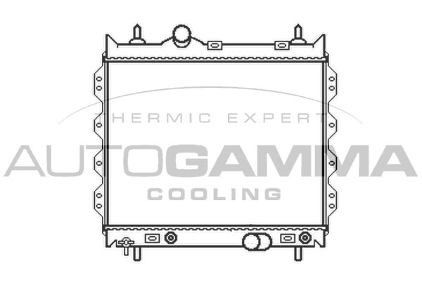 102861 AUTOGAMMA Радиатор, охлаждение двигателя