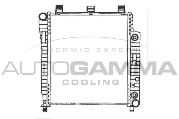 102155 AUTOGAMMA Радиатор, охлаждение двигателя