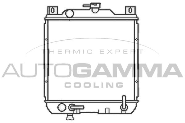 102331 AUTOGAMMA Радиатор, охлаждение двигателя