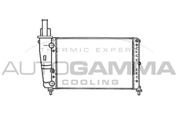 102066 AUTOGAMMA Радиатор, охлаждение двигателя