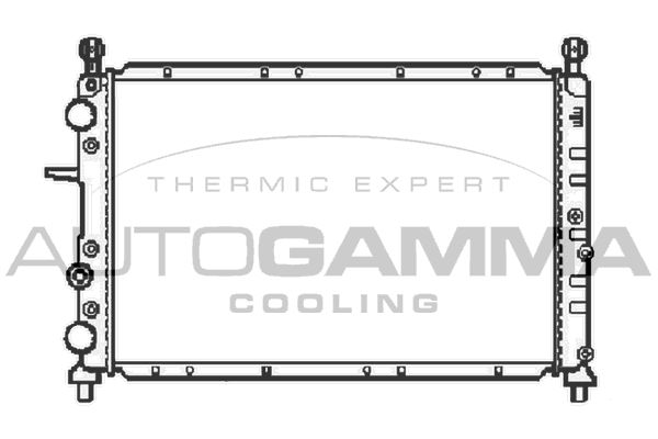 100017 AUTOGAMMA Радиатор, охлаждение двигателя