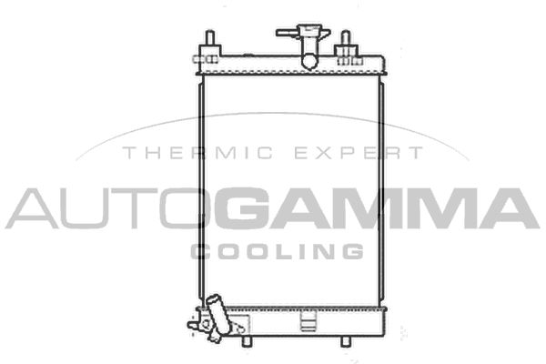 107207 AUTOGAMMA Радиатор, охлаждение двигателя