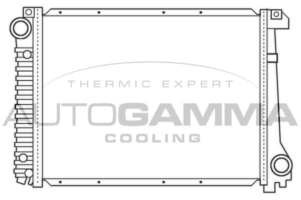 100103 AUTOGAMMA Радиатор, охлаждение двигателя