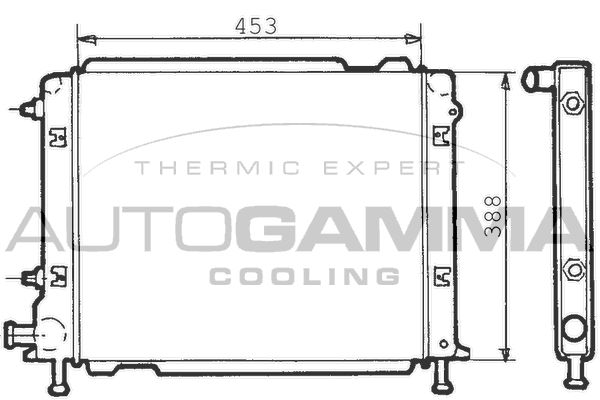 100273 AUTOGAMMA Радиатор, охлаждение двигателя