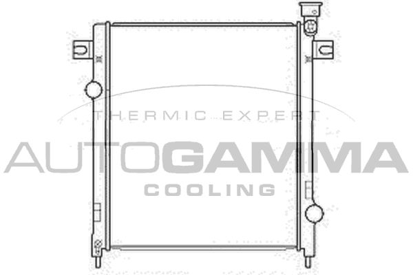 107219 AUTOGAMMA Радиатор, охлаждение двигателя