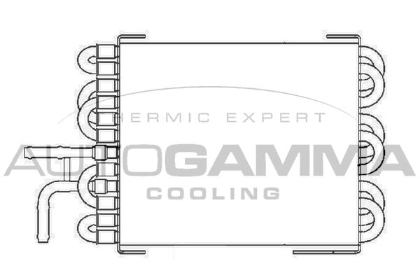 104177 AUTOGAMMA Радиатор, охлаждение двигателя
