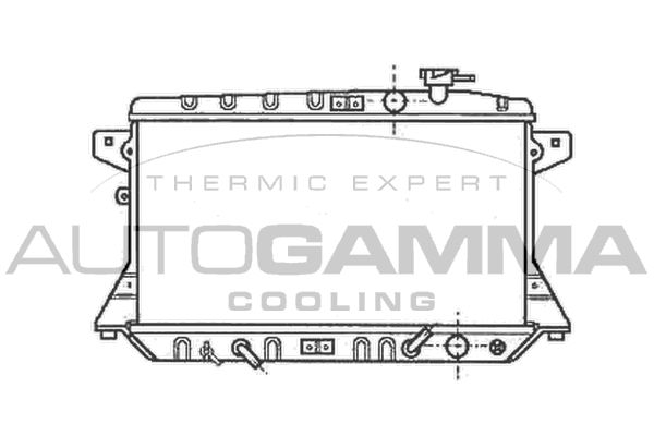 102117 AUTOGAMMA Радиатор, охлаждение двигателя