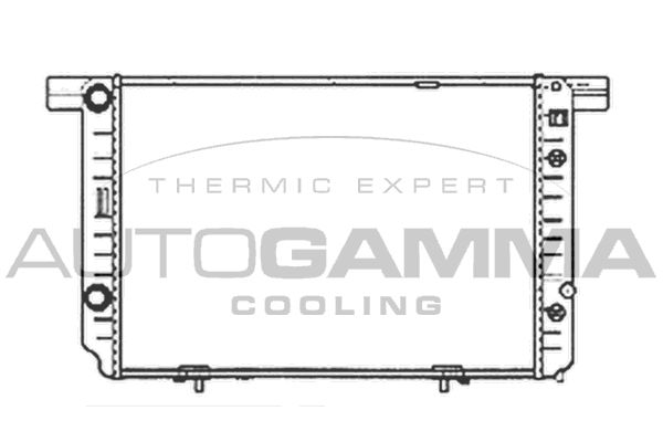 102157 AUTOGAMMA Радиатор, охлаждение двигателя