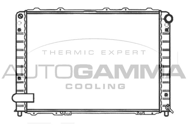 102912 AUTOGAMMA Радиатор, охлаждение двигателя