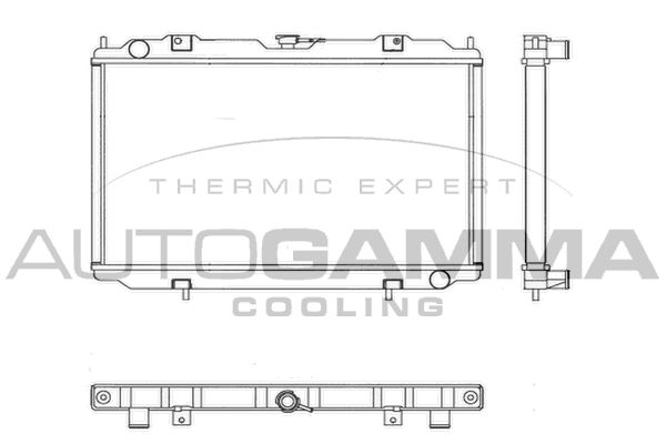 102187 AUTOGAMMA Радиатор, охлаждение двигателя