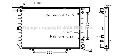 MS2121 PRASCO Радиатор, охлаждение двигателя