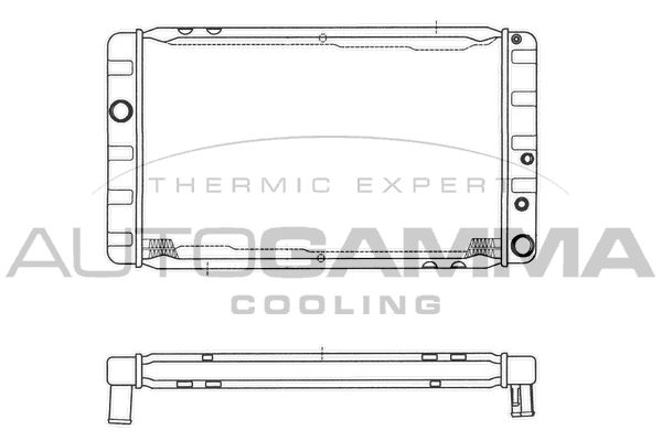 101102 AUTOGAMMA Радиатор, охлаждение двигателя