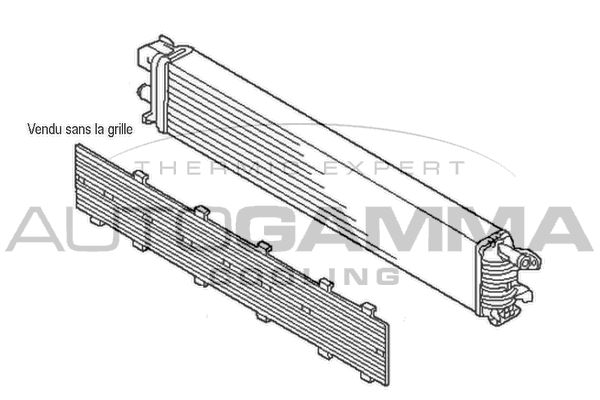 107565 AUTOGAMMA Радиатор, охлаждение двигателя