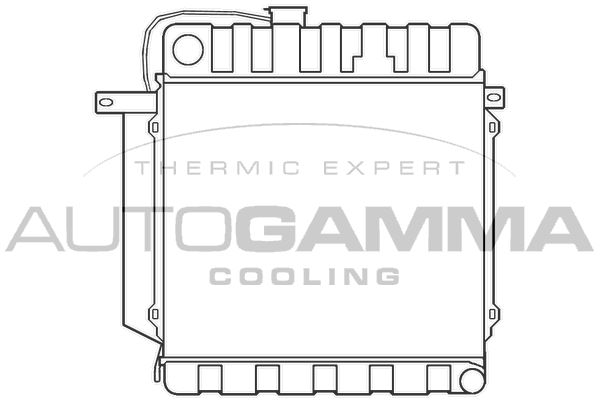100082 AUTOGAMMA Радиатор, охлаждение двигателя