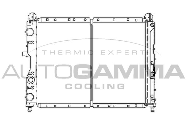 100014 AUTOGAMMA Радиатор, охлаждение двигателя