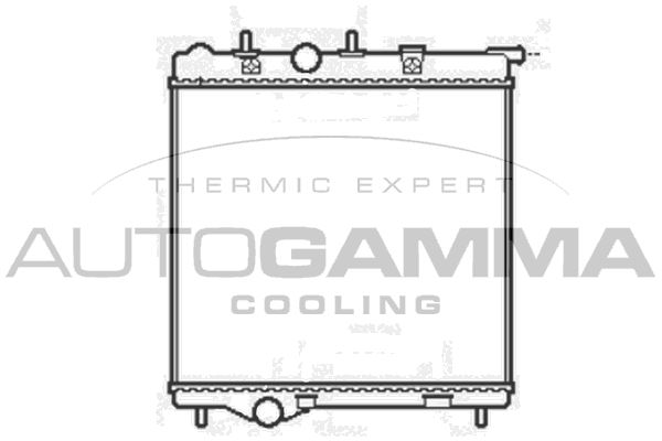 105248 AUTOGAMMA Радиатор, охлаждение двигателя