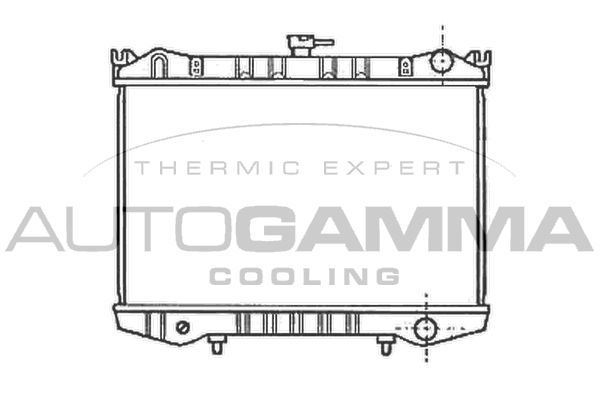 102186 AUTOGAMMA Радиатор, охлаждение двигателя