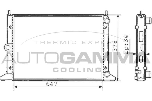 100360 AUTOGAMMA Радиатор, охлаждение двигателя