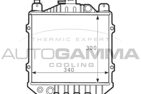 100977 AUTOGAMMA Радиатор, охлаждение двигателя