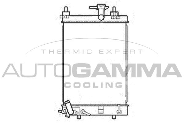 107206 AUTOGAMMA Радиатор, охлаждение двигателя