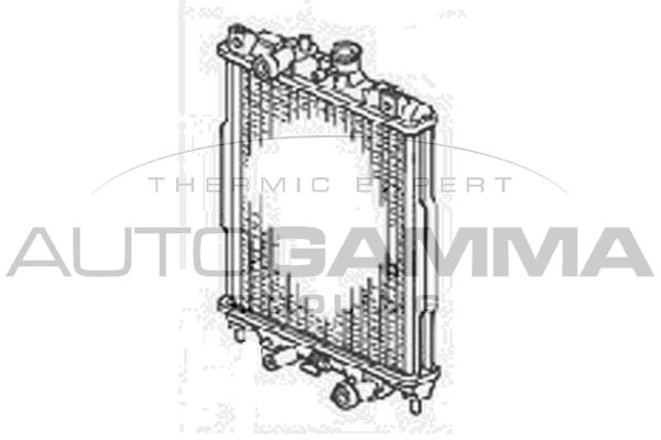 102907 AUTOGAMMA Радиатор, охлаждение двигателя