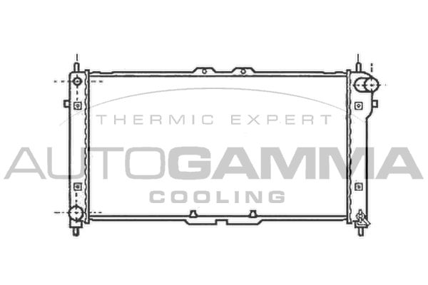 102140 AUTOGAMMA Радиатор, охлаждение двигателя