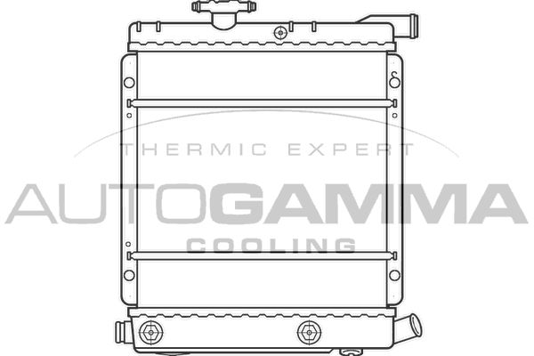 100140 AUTOGAMMA Радиатор, охлаждение двигателя