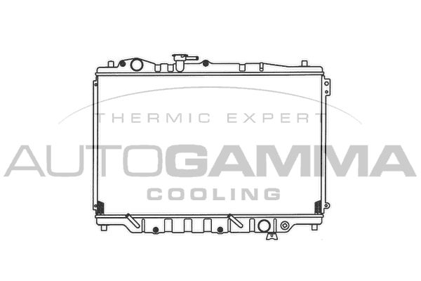 100502 AUTOGAMMA Радиатор, охлаждение двигателя