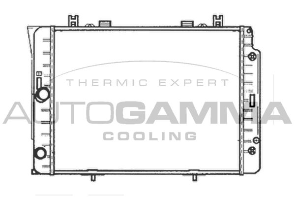 102161 AUTOGAMMA Радиатор, охлаждение двигателя