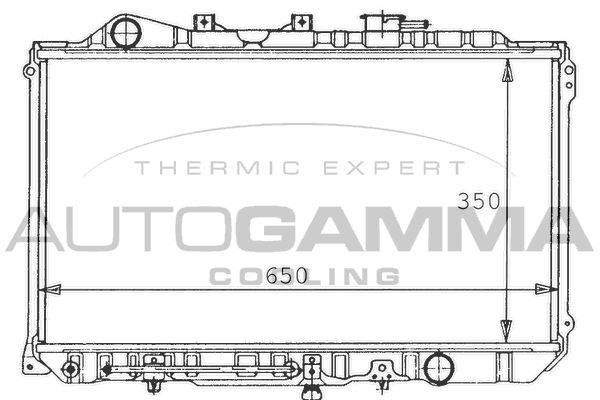 100496 AUTOGAMMA Радиатор, охлаждение двигателя