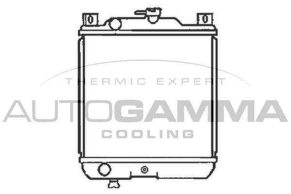 102339 AUTOGAMMA Радиатор, охлаждение двигателя