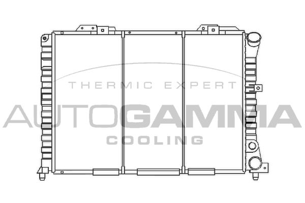 100021 AUTOGAMMA Радиатор, охлаждение двигателя