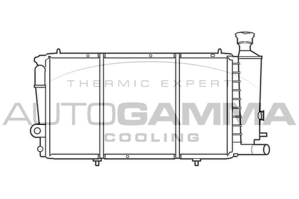 100172 AUTOGAMMA Радиатор, охлаждение двигателя