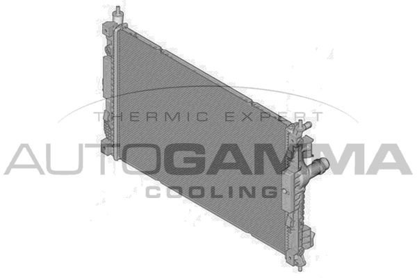 107396 AUTOGAMMA Радиатор, охлаждение двигателя