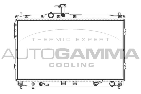 107393 AUTOGAMMA Радиатор, охлаждение двигателя