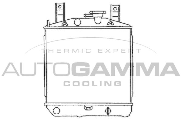 100242 AUTOGAMMA Радиатор, охлаждение двигателя