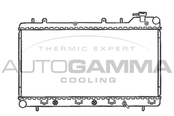 102309 AUTOGAMMA Радиатор, охлаждение двигателя
